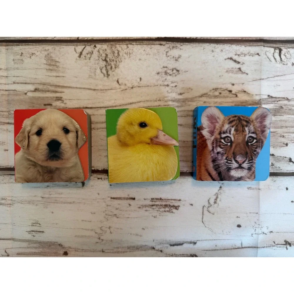 Baby Animal Photo Erasers Set Puppy Tiger Cub Stationery School Supplies 1182